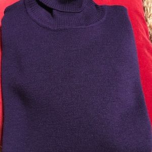 Ann Taylor Loft turtleneck sweater